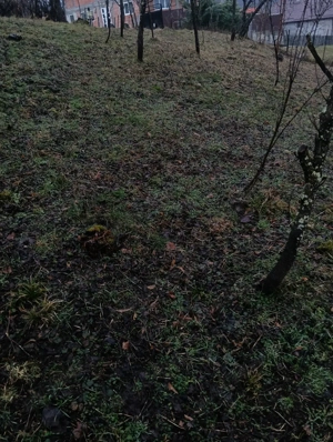 Vand urgent teren intravilan 1500 metri pătrați pret negociabil  - imagine 5