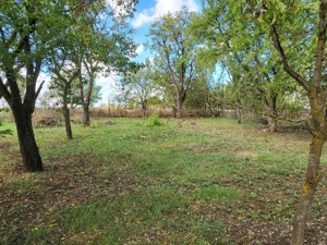 Vand casa cu teren 1989 mp com. Luna jud. Cluj - imagine 4