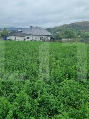 Casa bătrânească + Teren 1.666 mp intravilan, la 8 km de Botoșani – teren drept