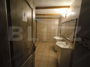 Proprietate multifuncțională, 1.850 mp utili, 23.750 mp teren, zona Brestei - imagine 17