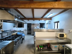 Proprietate multifuncțională, 1.850 mp utili, 23.750 mp teren, zona Brestei - imagine 11