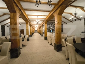 Proprietate multifuncțională, 1.850 mp utili, 23.750 mp teren, zona Brestei - imagine 8