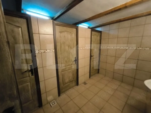 Proprietate multifuncțională, 1.850 mp utili, 23.750 mp teren, zona Brestei - imagine 18