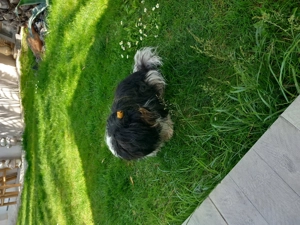 Vand teren extravilan