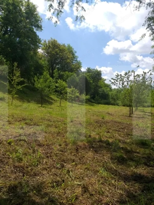 Exclusivist! Teren intravilan de 2800mp cu cascada in Micesti! - imagine 3