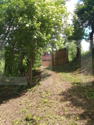 Exclusivist! Teren intravilan de 2800mp cu cascada in Micesti! - imagine 7