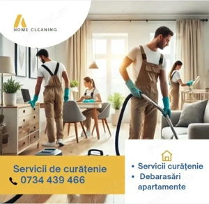 Curatenie la domiciliu 