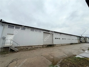Hala industriala 1175 mp utili de vanzare in Cisnadie - imagine 14
