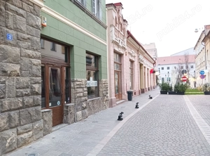 Dau in chirie spatiu comercial in zona pietonala