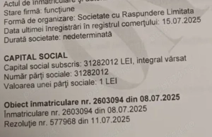 înființării firme cu capital social mare subscris și vărsat pentru programare startup-uri  - imagine 2