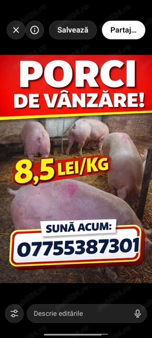de vânzare disponibili 