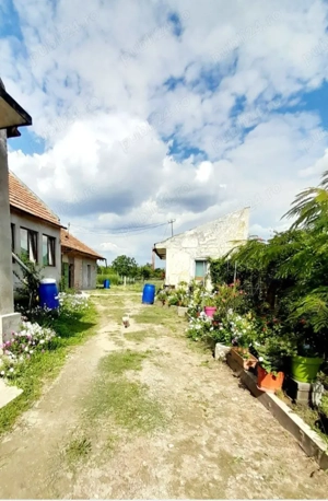 Casă de vânzare în Zădăreni - imagine 2