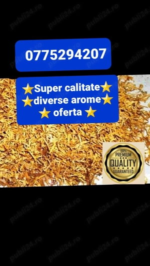 Tabac tocat și Firicel 