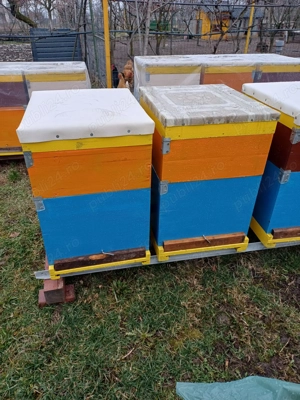 stupi albine pentru apicultori harnici