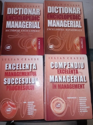 Lot 4 carti dictionar enciclopedic managerial, enciclopedie, compendiu managerial, Iulian Ceausu - imagine 5