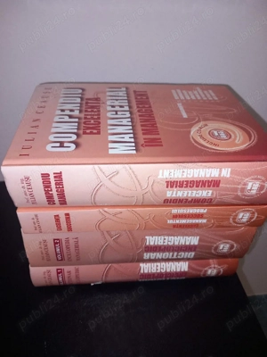 Lot 4 carti dictionar enciclopedic managerial, enciclopedie, compendiu managerial, Iulian Ceausu - imagine 2