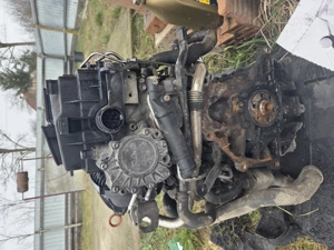 Madaras Judit mures - imagine 2