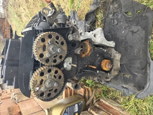 Madaras Judit mures - imagine 4