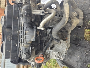 Madaras Judit mures - imagine 3