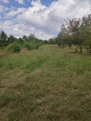 Teren de vânzare   livada de pomi Vulcan - Brasov