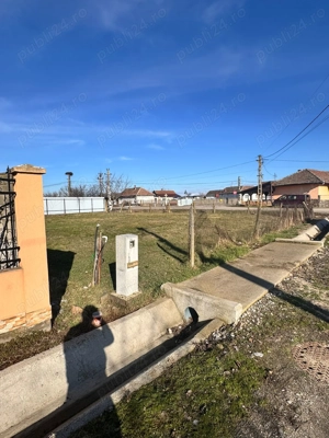 Teren Ultracentral in Madaras - imagine 3