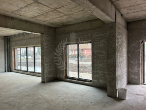SPATIU COMERCIAL // ALBERT - GRADINILE // 101 MP - imagine 12
