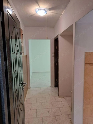 Apartament 2 camere de vanzare , Ozana , M15 , parter , 46.000 euro neg. - imagine 10