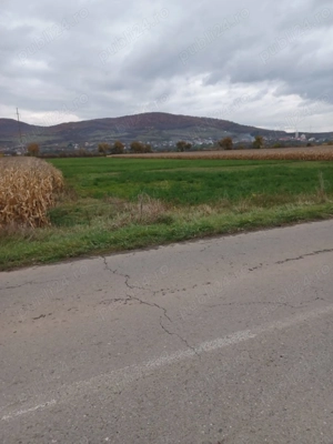 Teren intravilan de vanzare - imagine 3