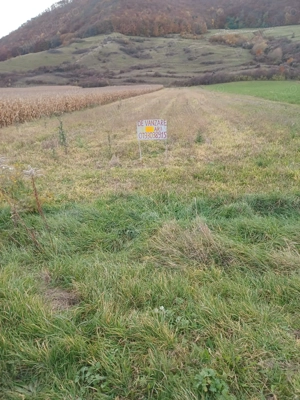 Teren intravilan de vanzare - imagine 2