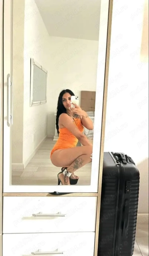 Doar deplasari PARTY  - imagine 4