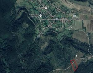 Teren Extravilan Recas 2 parcele alaturate 13300 mp si 1700 mp