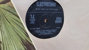 Disc vinil Alexandru Jula   Mi-ai adus iar primăvara - imagine 5