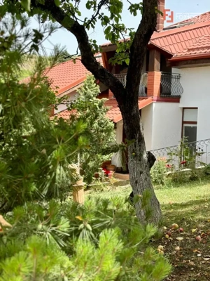 Casa individuala cu 5 camere si teren de 1 hectar - Ghioroc - Arad - imagine 15