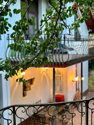 Casa individuala cu 5 camere si teren de 1 hectar - Ghioroc - Arad - imagine 7