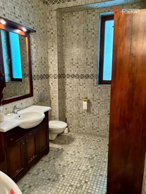 Casa individuala cu 5 camere si teren de 1 hectar - Ghioroc - Arad - imagine 11