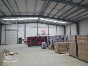 Inchiriere depozit hala spatiu industrial Theodor Pallady - Drumul Intre Tarlale - Oxigenului - imagine 12