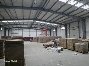 Inchiriere depozit hala spatiu industrial Theodor Pallady - Drumul Intre Tarlale - Oxigenului - imagine 13