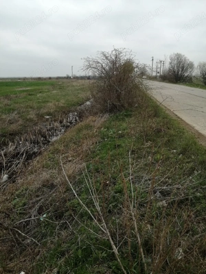 vand teren agricol extravilan 8.14 ha - imagine 2