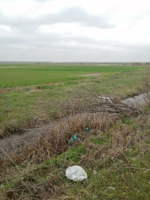 vand teren agricol extravilan 8.14 ha