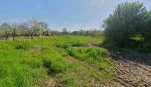 Vand casa in Zadareni ID:RH-37250-property - imagine 6