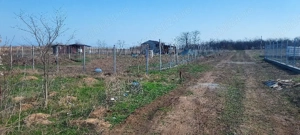 Teren Techirghiol  - imagine 4