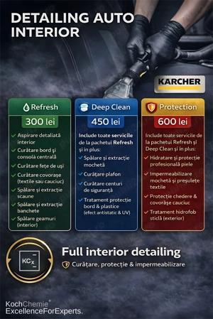 Detailing auto interior - Curatare Bord, Tapiterie Textil & Piele