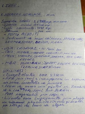 Livada Mixta de cires,visin,cais,prun ,mar + teren constructi  - imagine 21