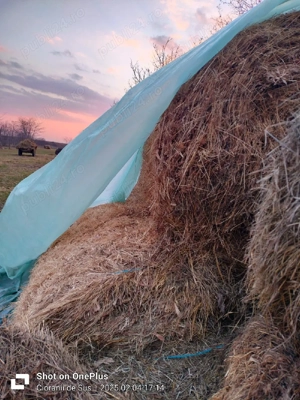 baloti rotunzi - imagine 2