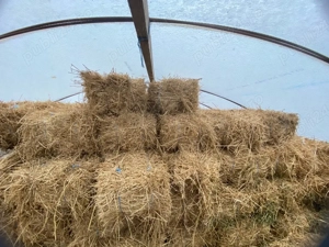 Baloti de vanzare - imagine 2