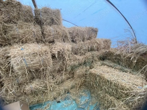 Baloti de vanzare - imagine 5