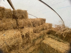 Baloti de vanzare - imagine 3