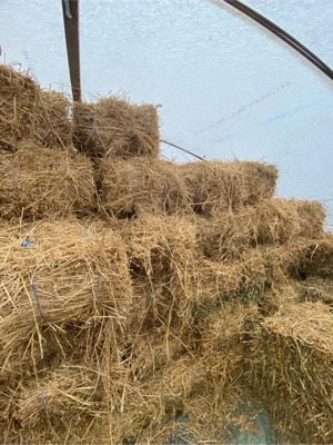 Baloti de vanzare - imagine 4