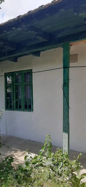 Videle casa - imagine 3