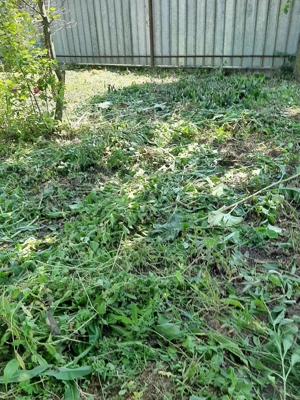 Videle casa - imagine 10